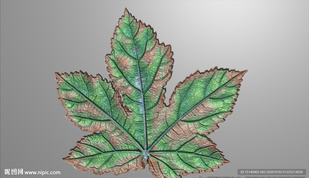 精雕图 花草动物