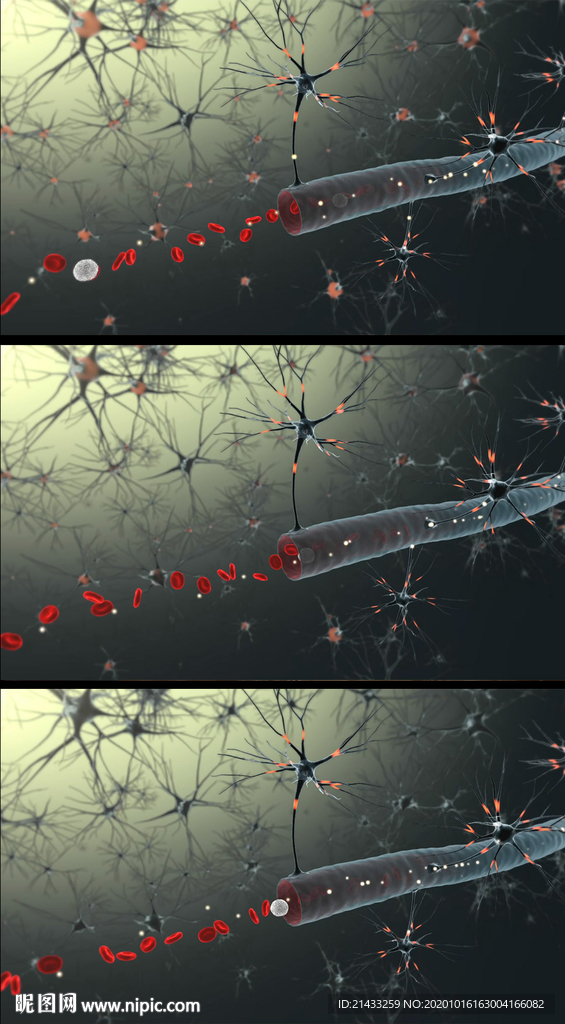 生物医疗血管动态视频模板