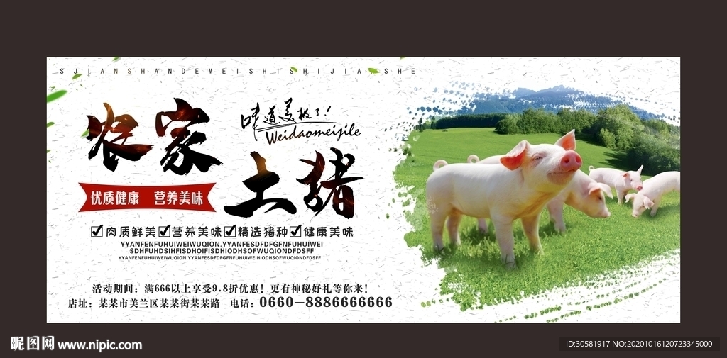 农家土猪