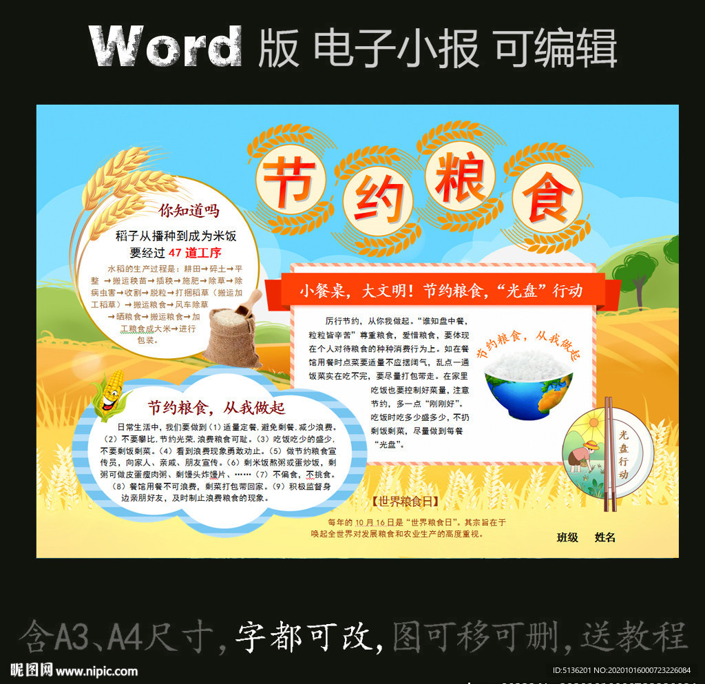 word版电子小报
