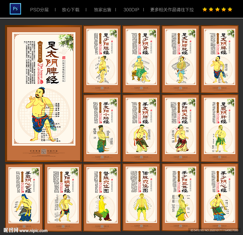 中医穴位挂图
