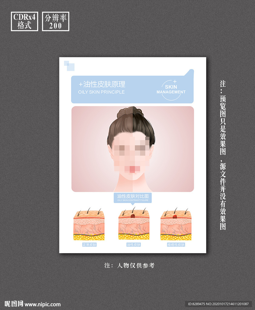 美容皮肤管理挂画