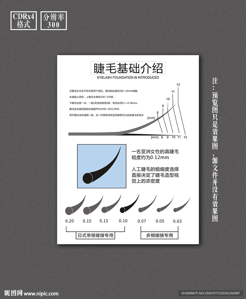 半永久美睫 挂画海报