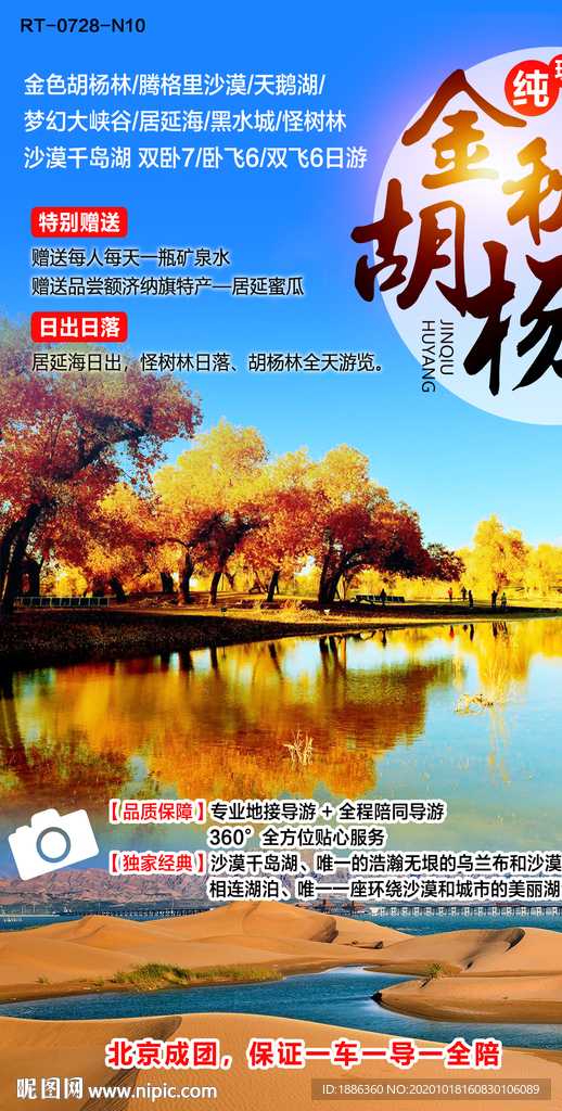 金秋胡杨