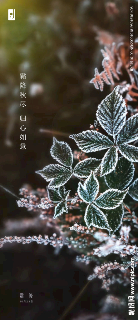 霜降
