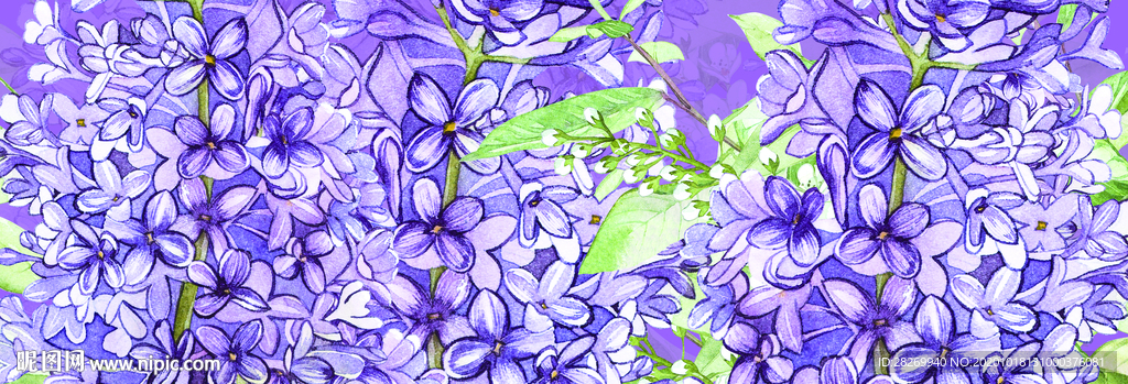 花卉装饰画