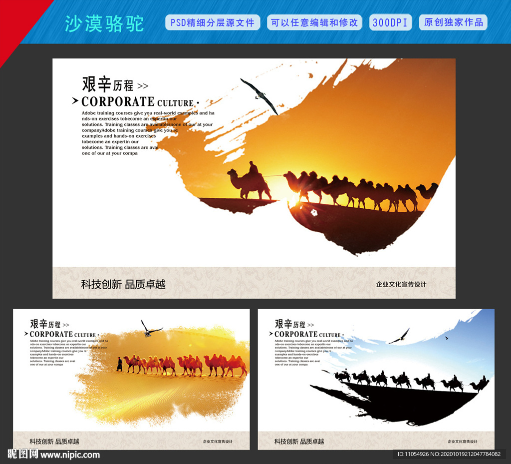 沙漠骆驼