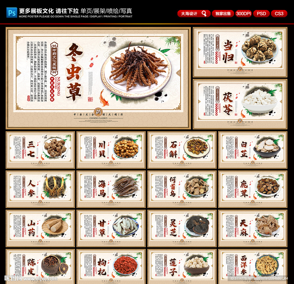中药展板 中药文化 中药挂画