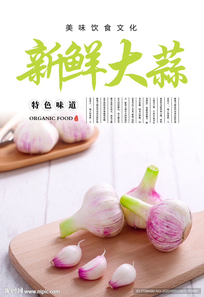 青蒜海报 新鲜大蒜海报