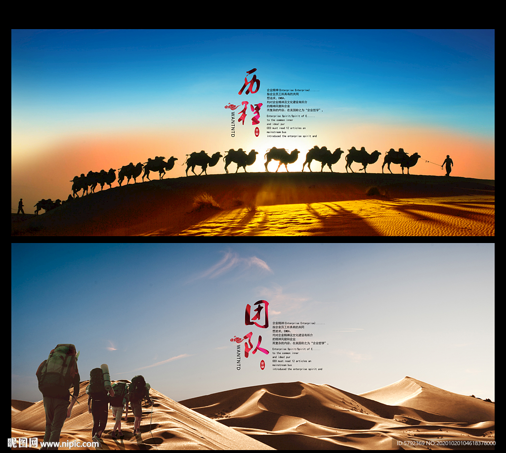 沙漠骆驼历程