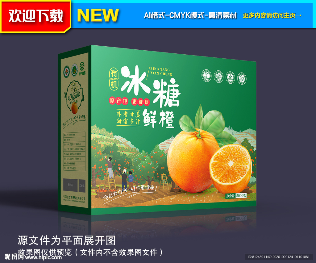 橙子包装