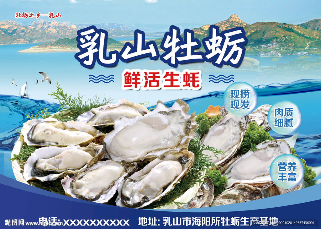 详细分层横版牡蛎