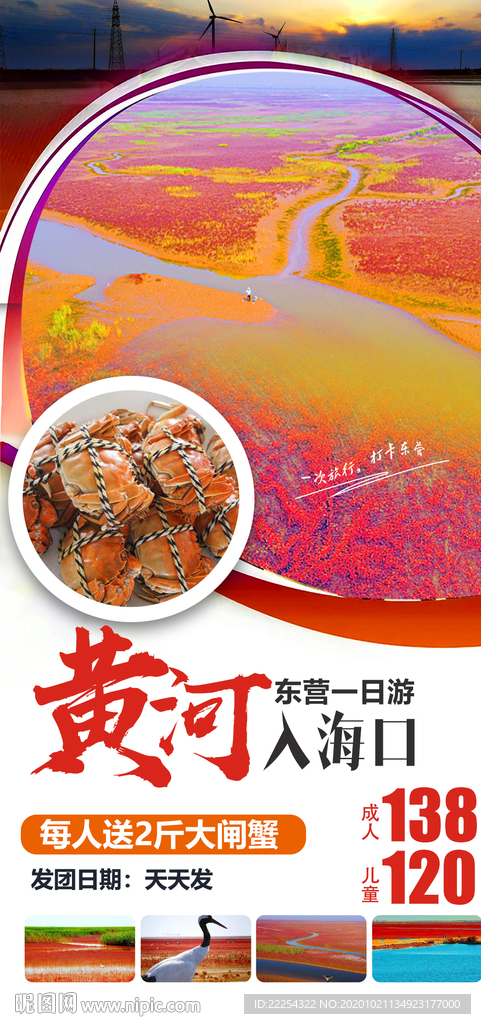东营红地毯 黄河入海口 湿地景