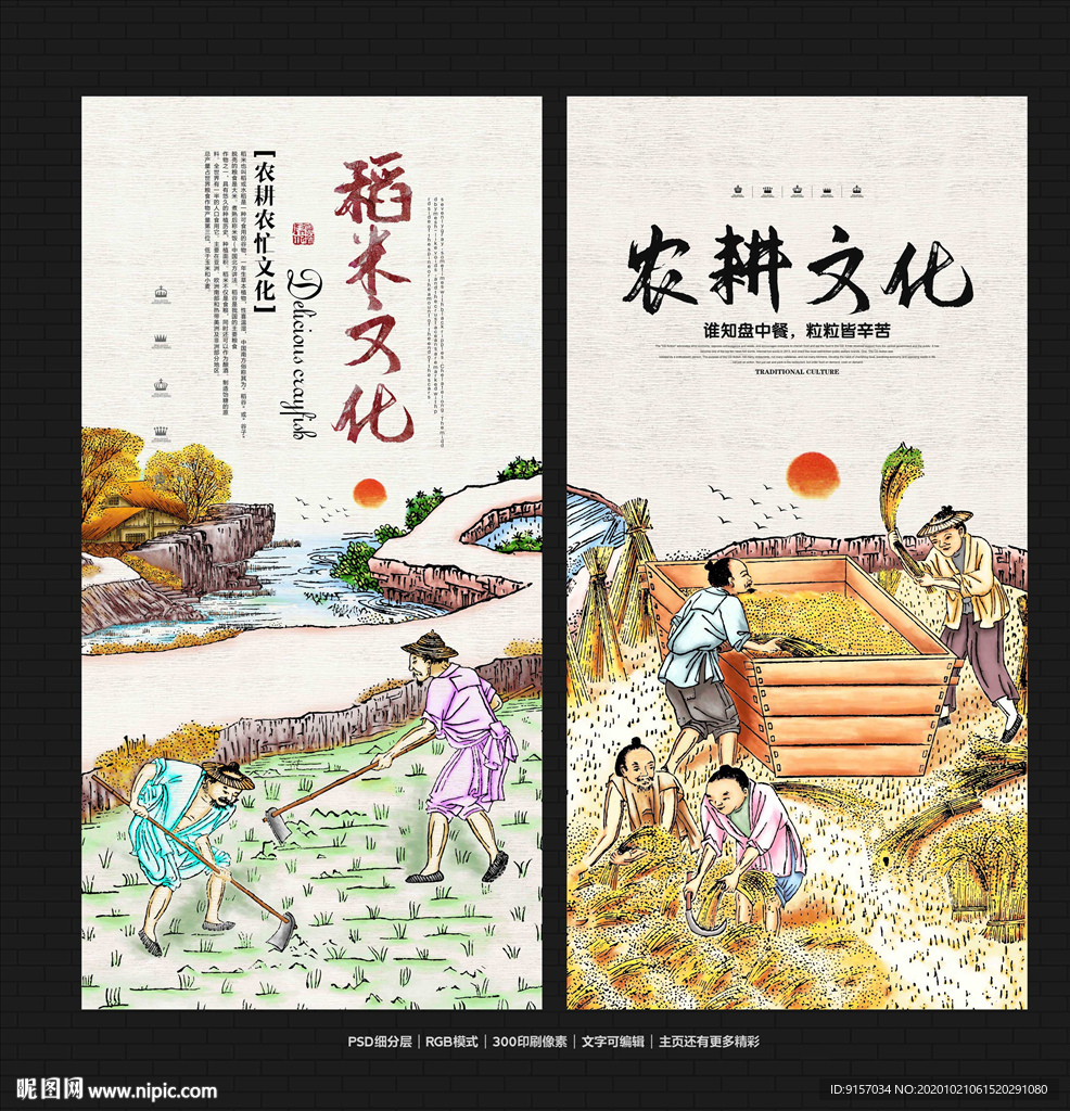 稻米 稻米文化