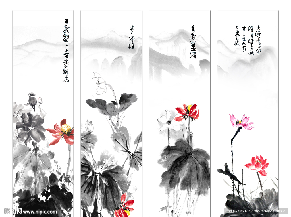 国画荷花
