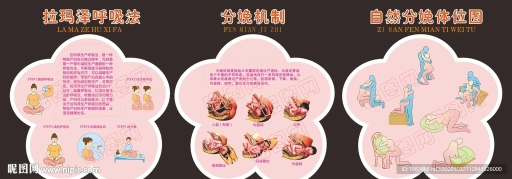 妇产科拉玛泽分娩机制图解