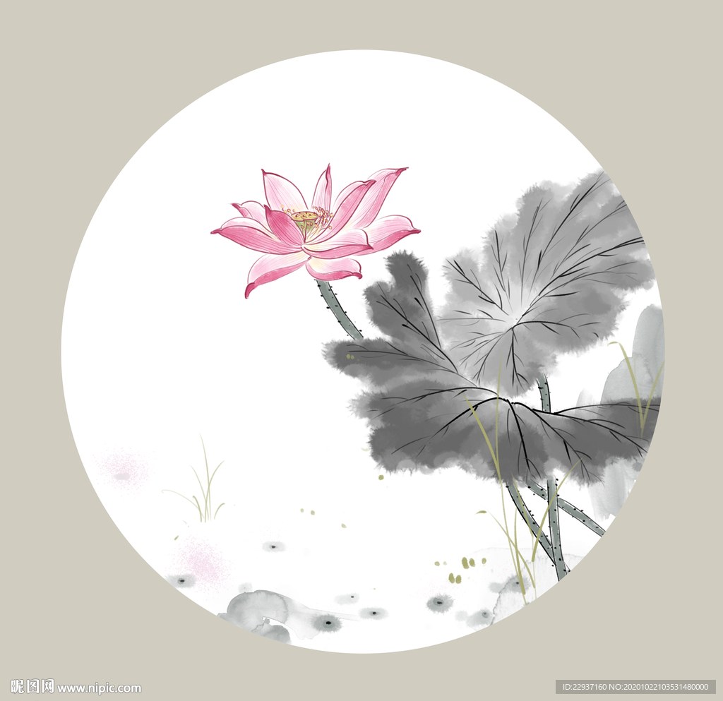 手绘荷花