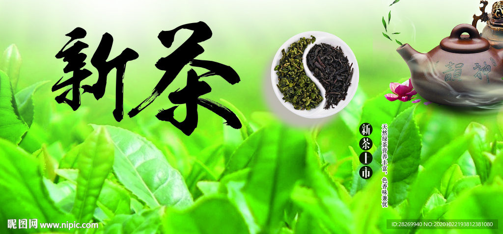 新茶上市