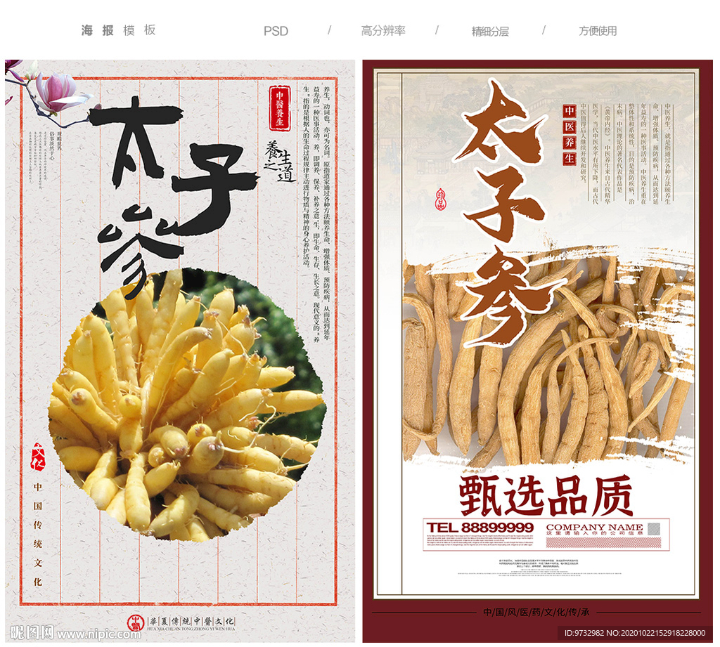 太子参海报
