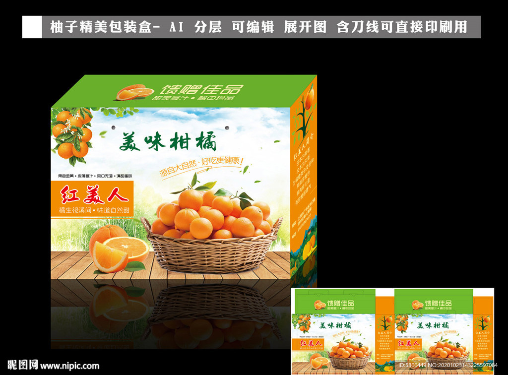 柑橘 橘包装 橘礼盒