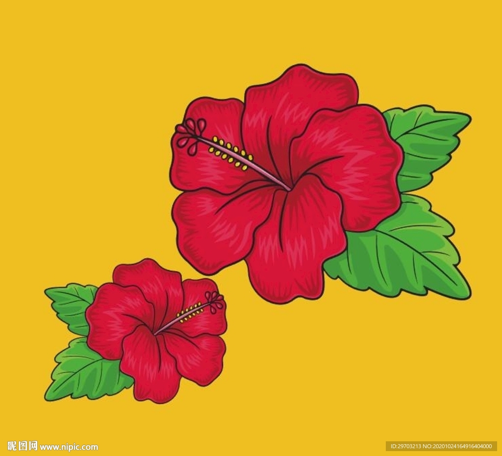卡通芙蓉花