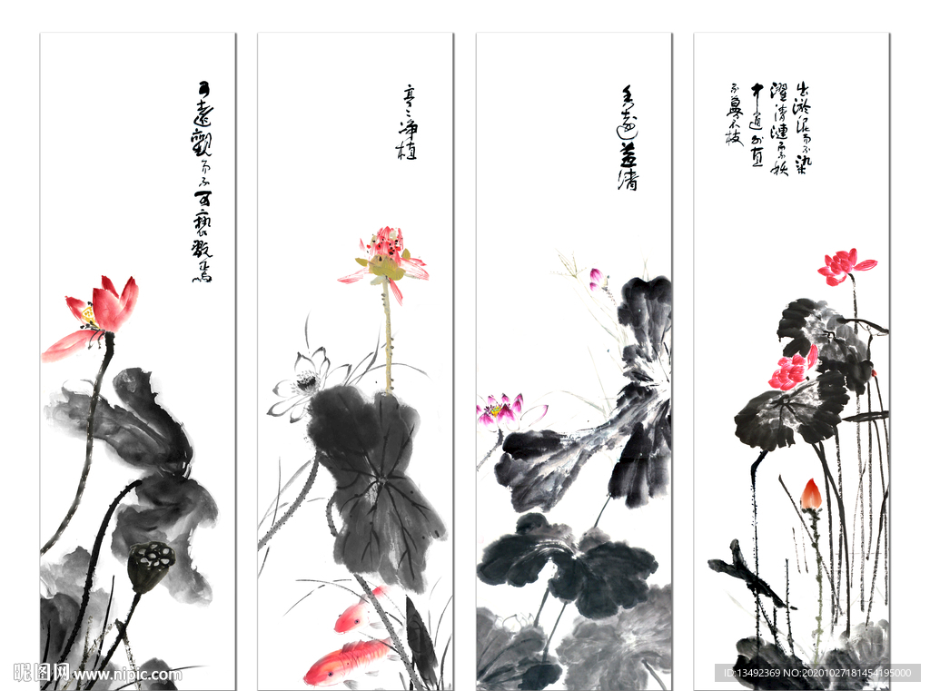 国画荷花