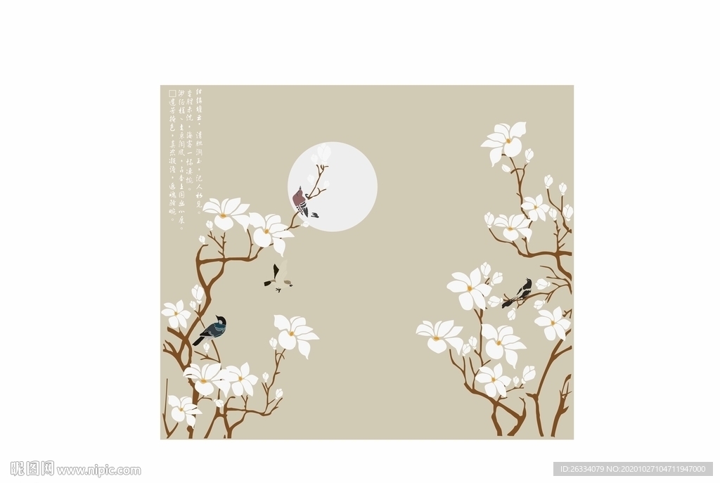 玉兰花 梅花 花鸟