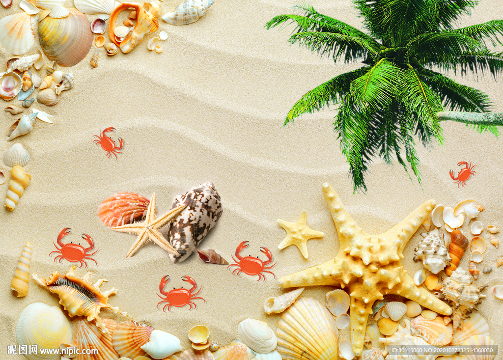 沙滩椰子树贝壳