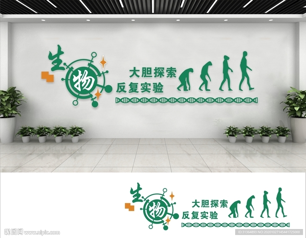 生物文化墙