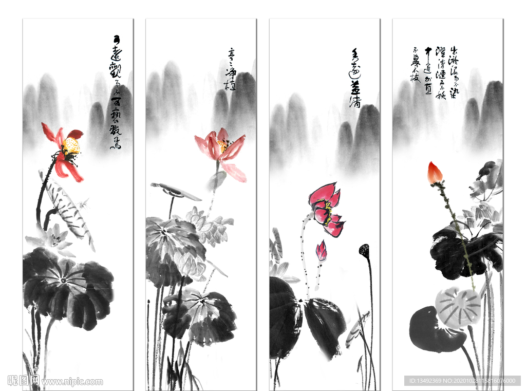 国画荷花