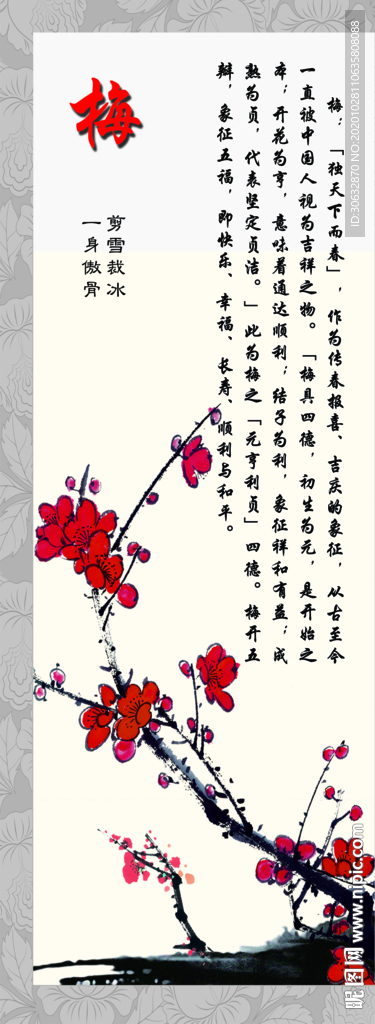 梅花