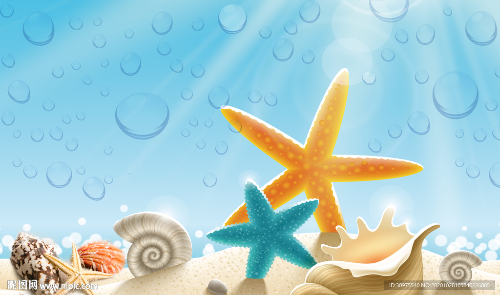 阳光下的海星沙滩