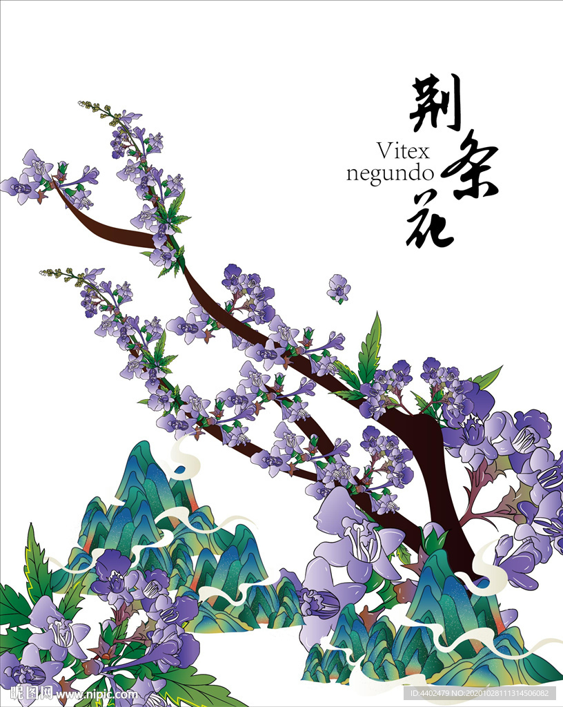荆条花
