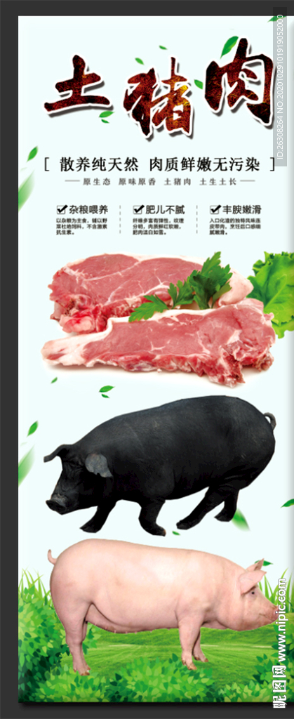 土猪肉 农家土猪肉 肉铺