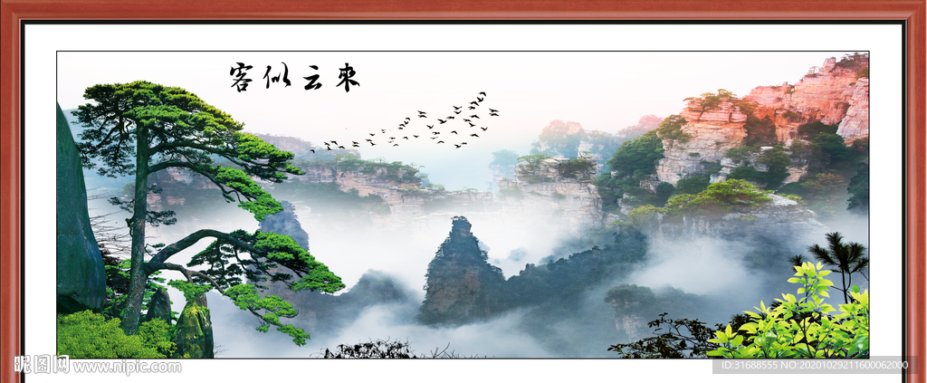 黄山迎客松