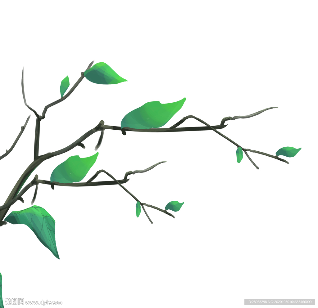 手绘植物