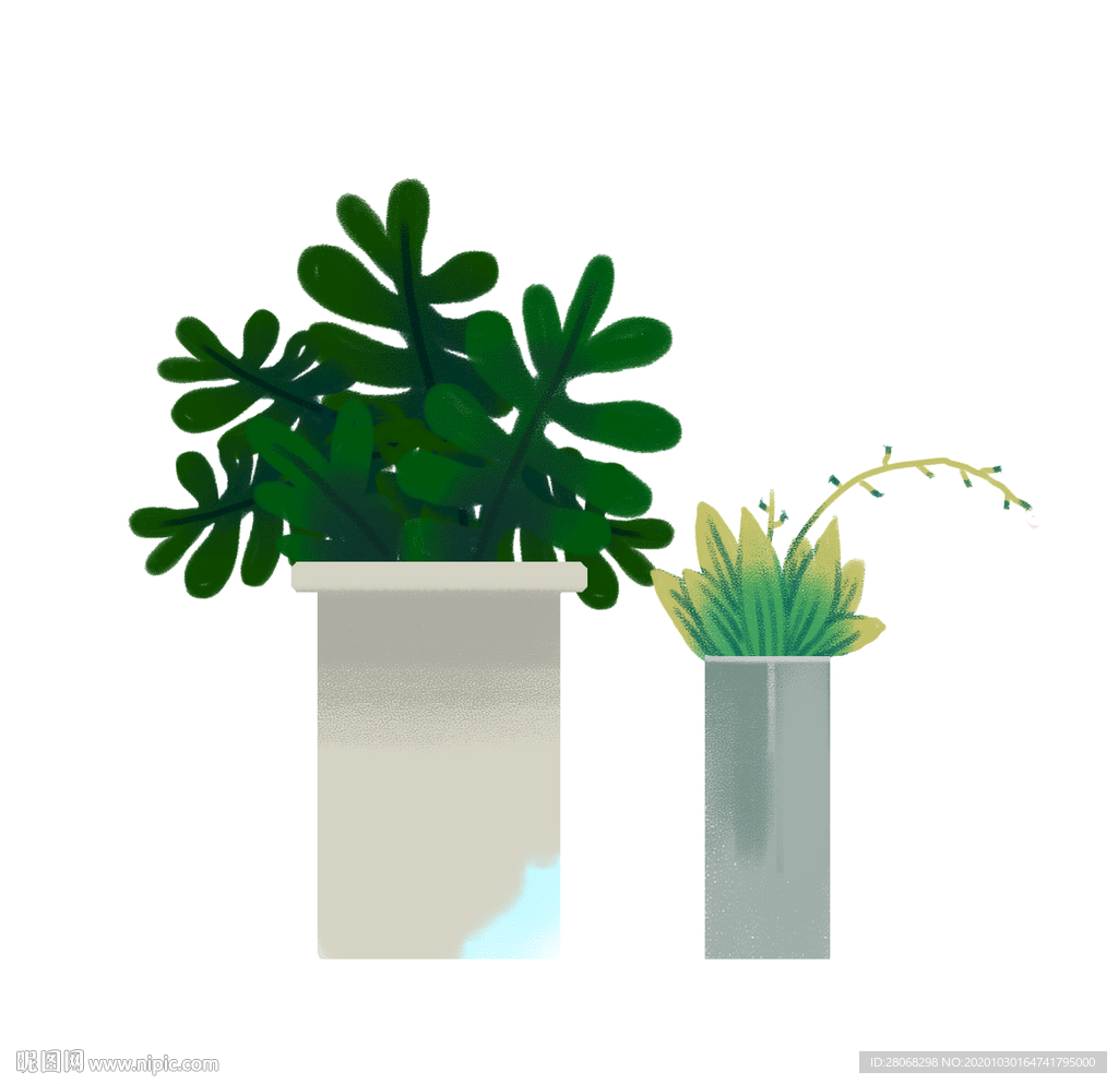 绿色植物盆栽