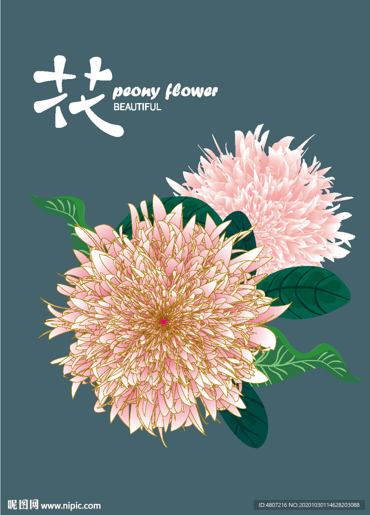 AI牡丹花插画