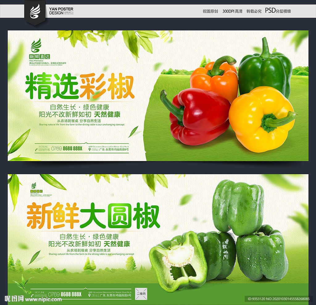 圆椒