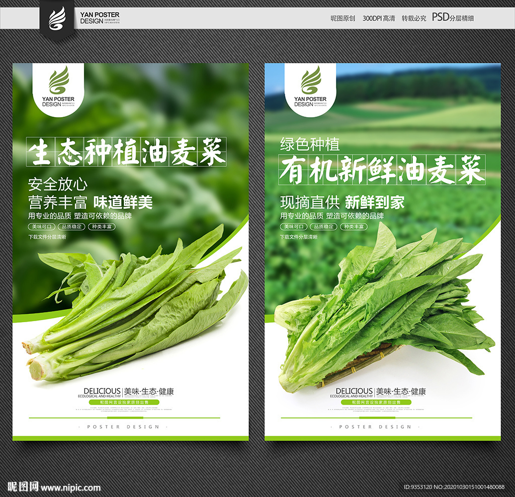 油麦菜