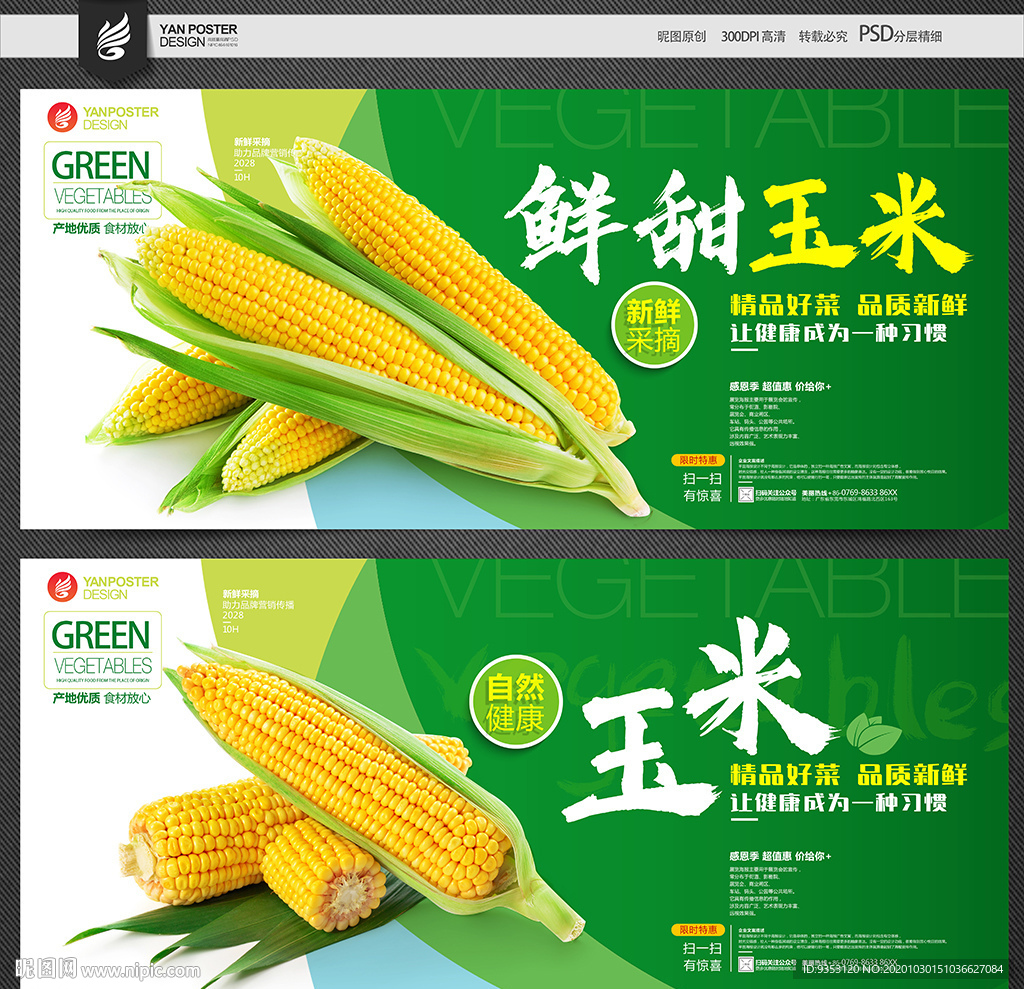 北京鲜食玉米种植面积约4万亩 赵久然：需求缺口仍然不小_京郊_推广_品种