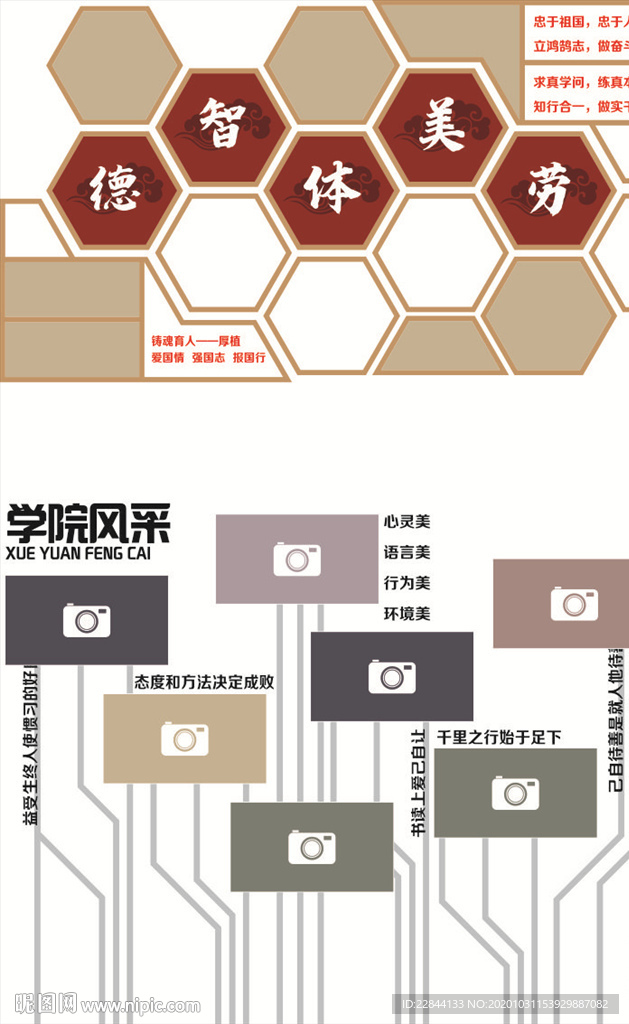 德智体美劳文化墙照片
