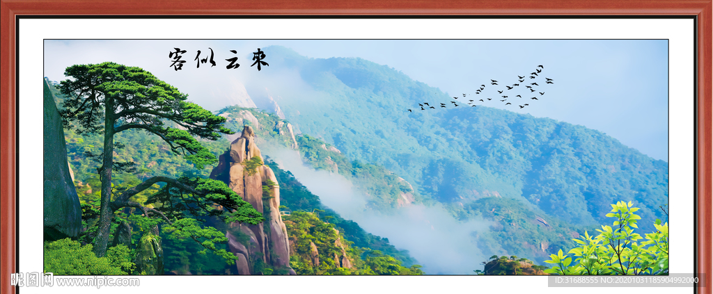 迎客松山水迎客松图片