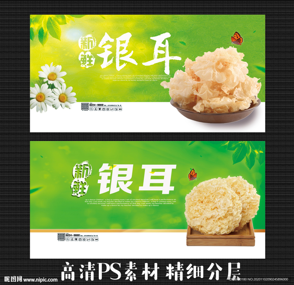 木耳