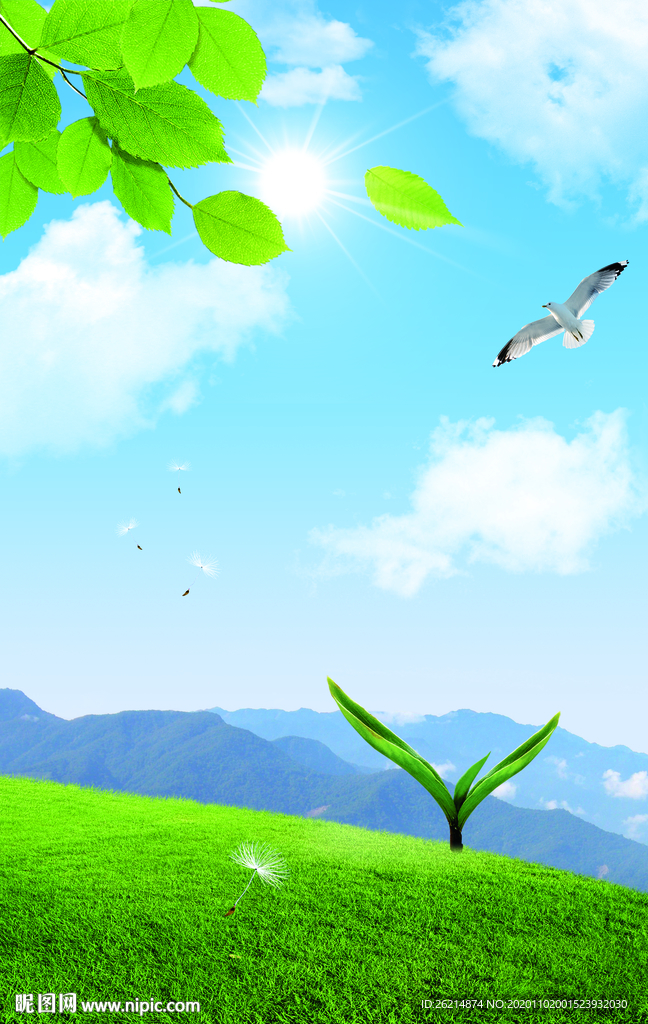蓝天白云草地