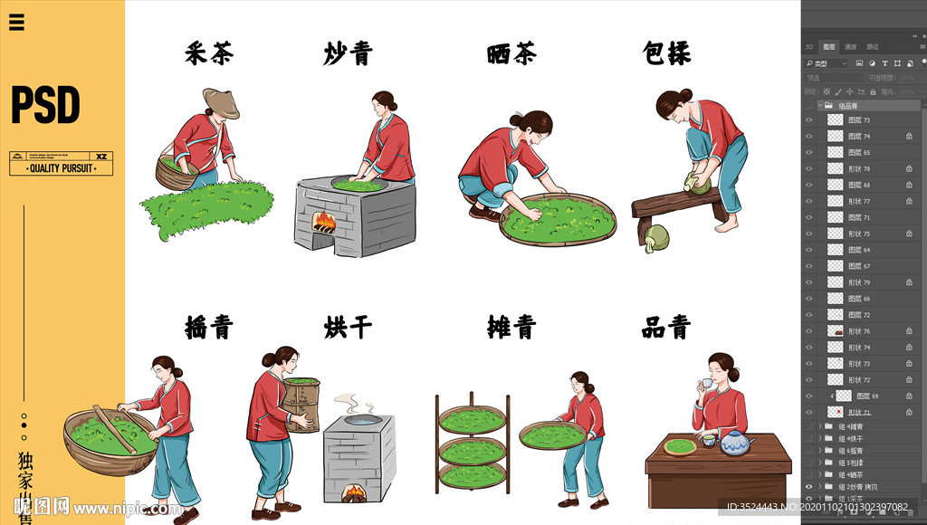 制茶工艺插画