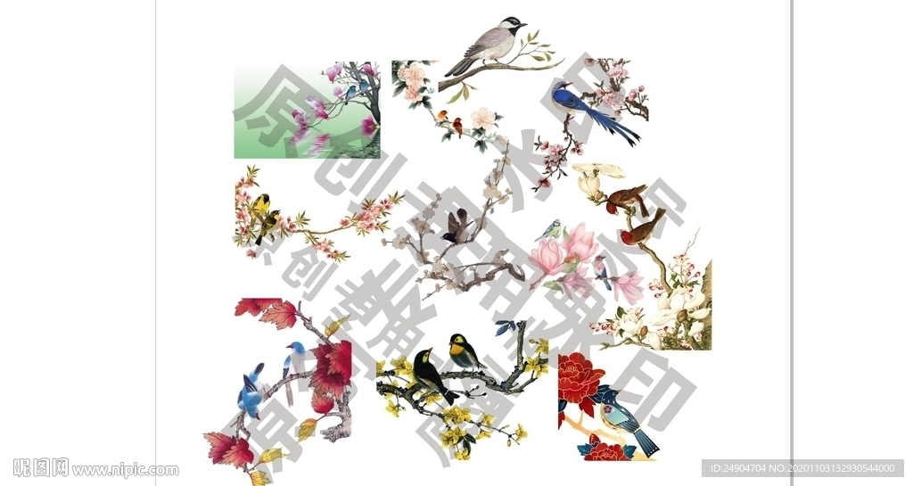 中国风花鸟集合
