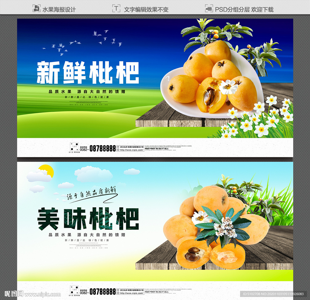 枇杷海报
