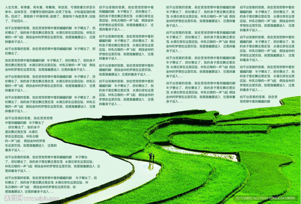 书籍画册设计