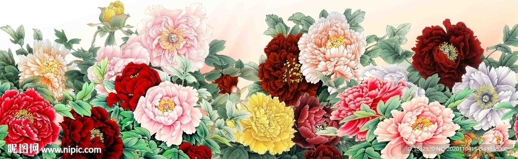 花开富贵